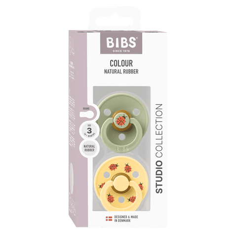BIBS Studio Colour Urban Garden Dummies 2 Pack - Size 2