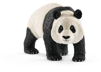 Giant Panda Male