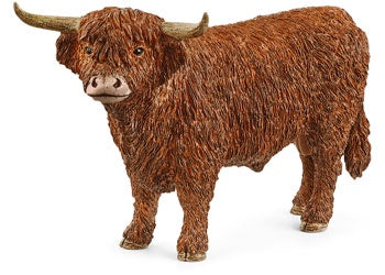 Highland Bull