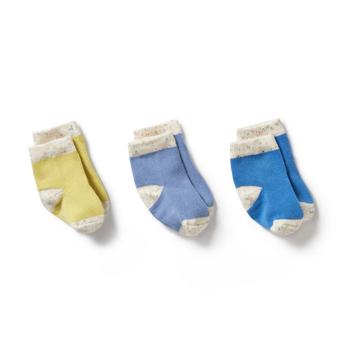 3 Pack Baby Socks - Endive/ Bluebell/ Blue