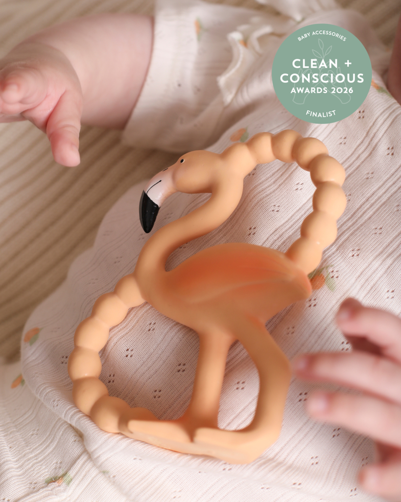 Lingo Mini Teether & Bath Toy