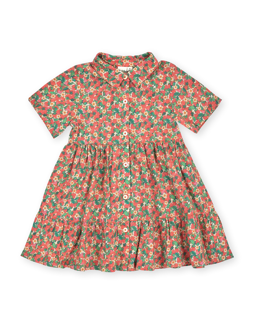 Strawberry Monica Dress