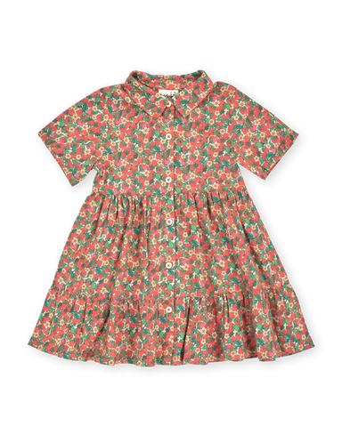 Strawberry Monica Dress