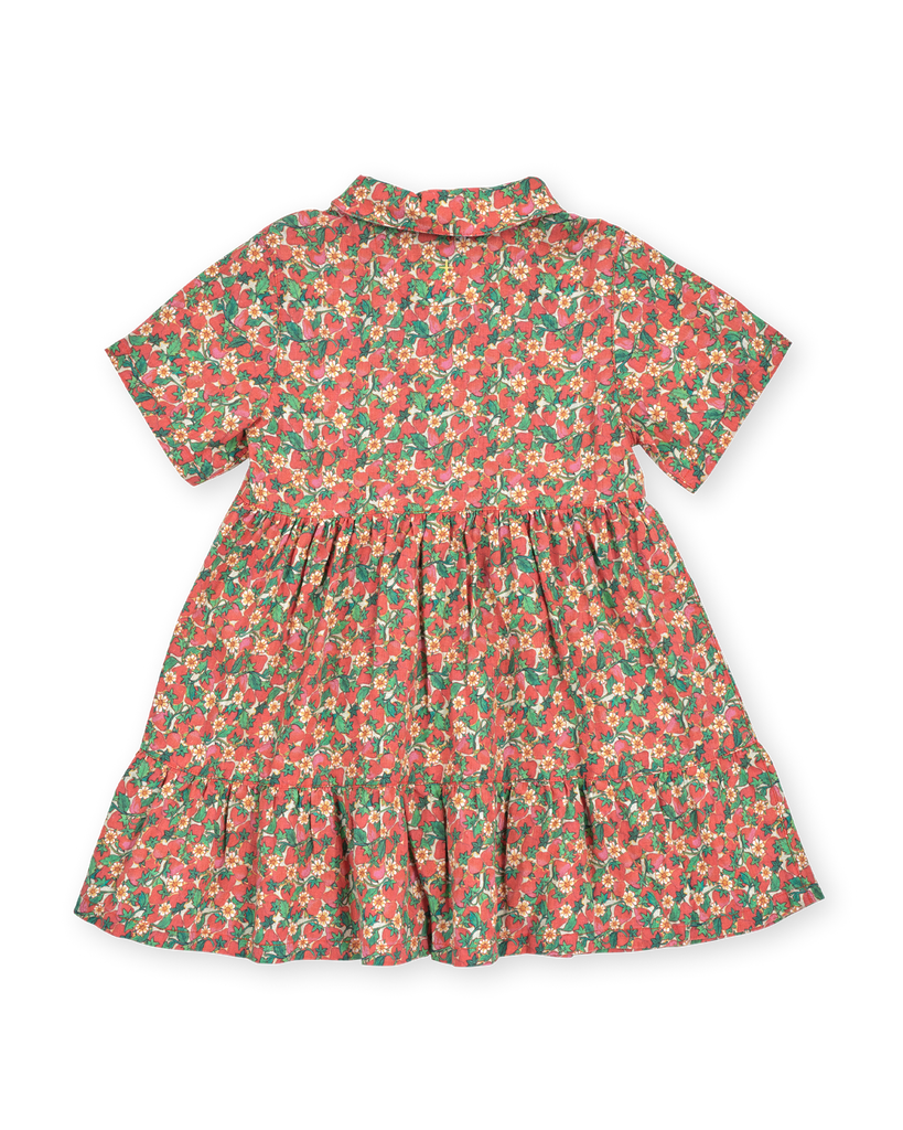 Strawberry Monica Dress