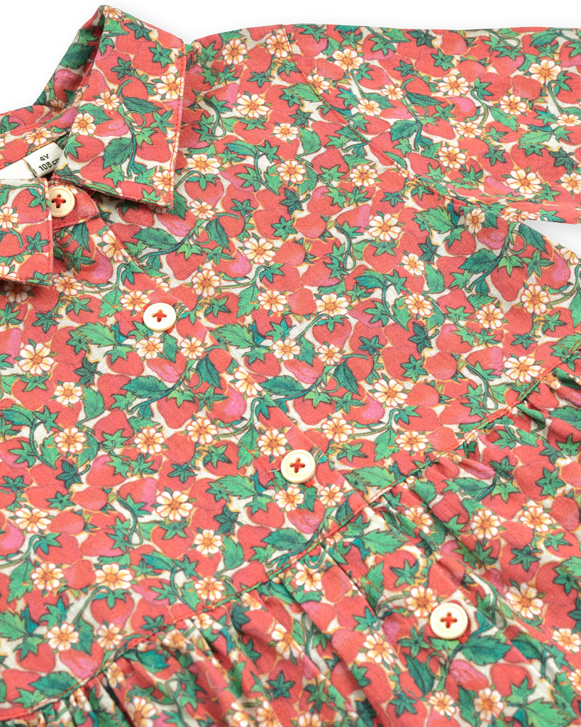 Strawberry Monica Dress