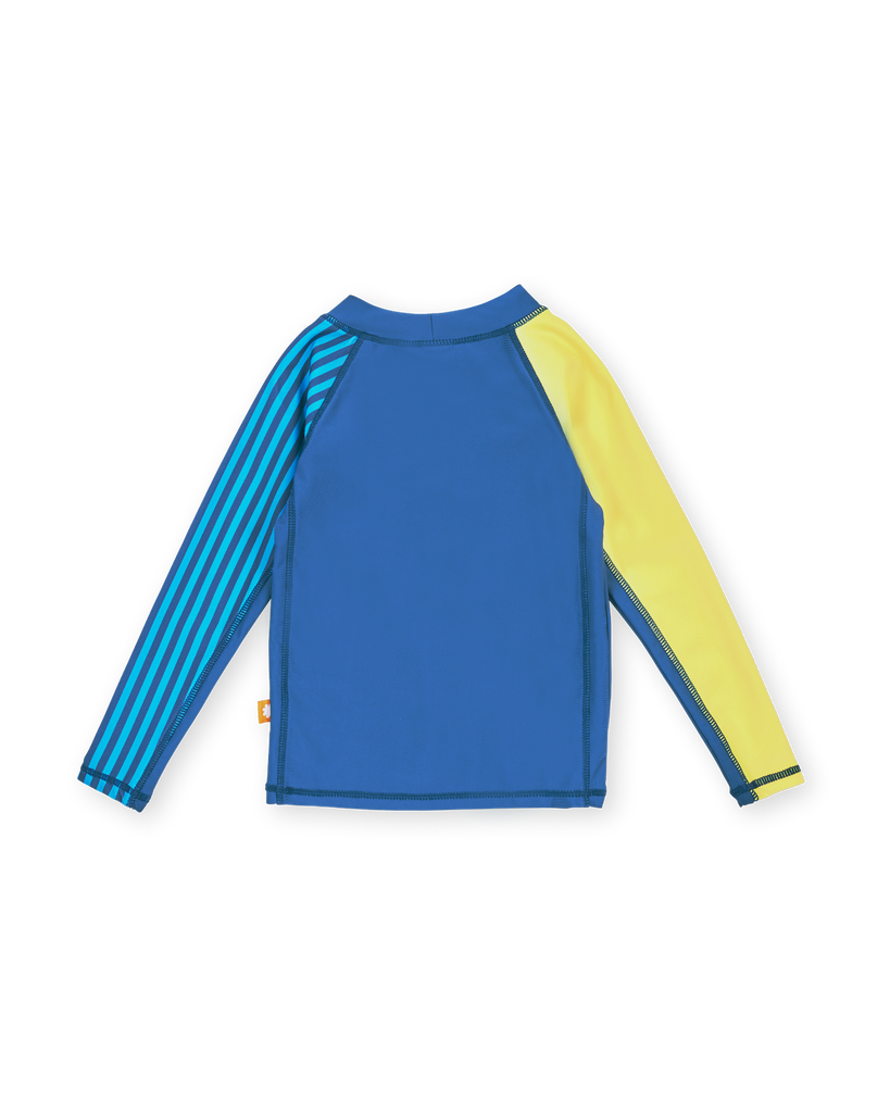 Stripe Panel Rash Guard