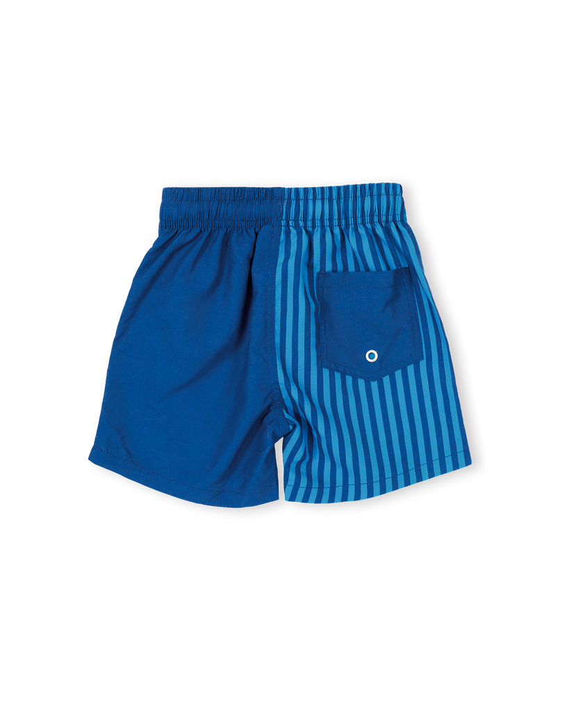 Stripe Panel Board Shorts