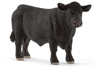 Black Angus Bull