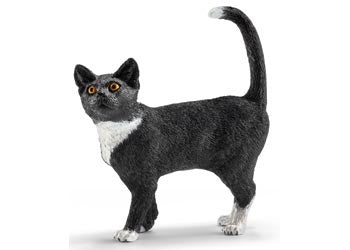 Cat Standing