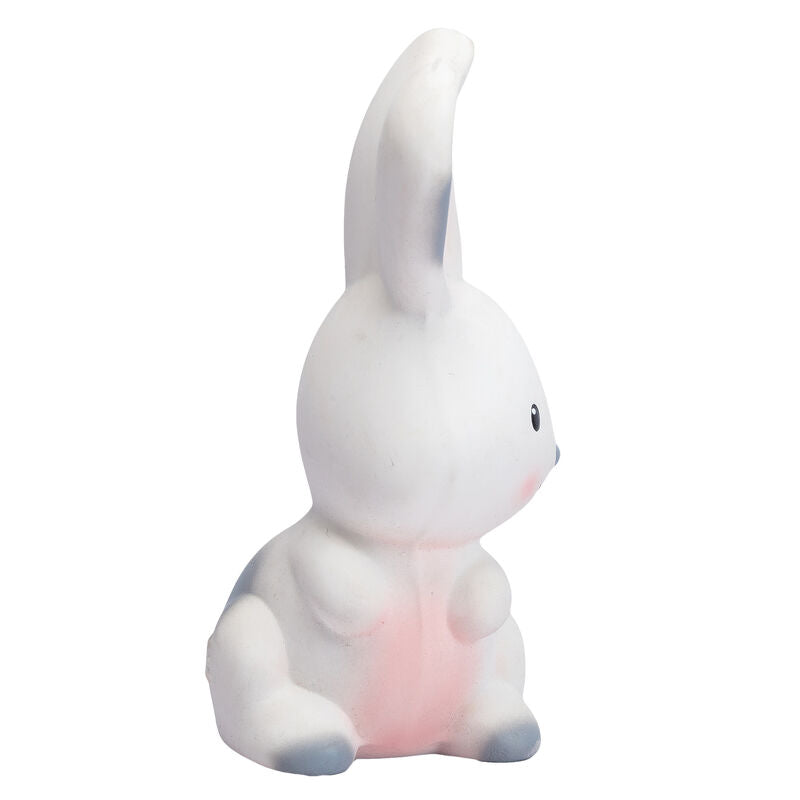 Bunny Rubber Teether Rattle & Bath Toy