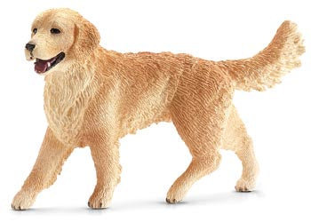 Golden Retriever Female