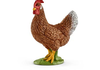 Hen