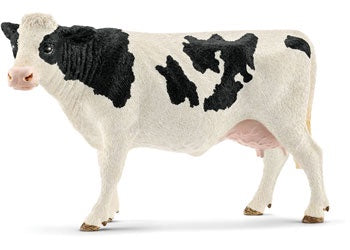 Holstein Cow