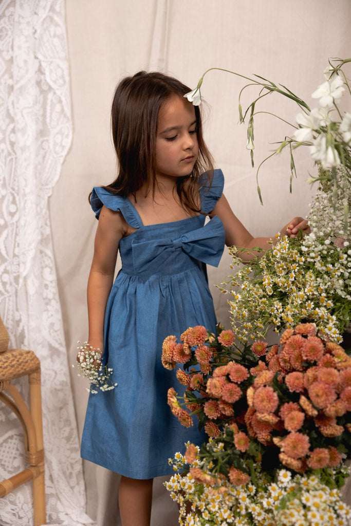 Belle Dress - Chambray