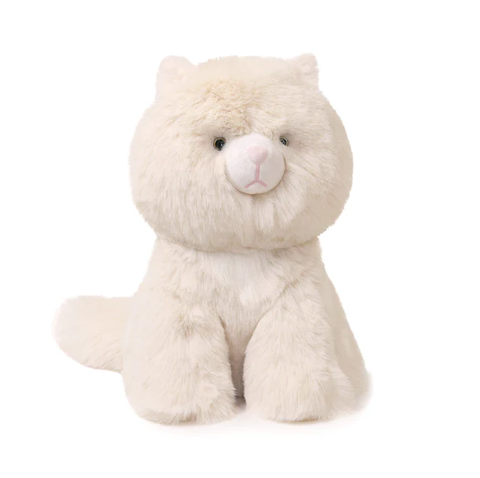 Kiki Himalayan Cat