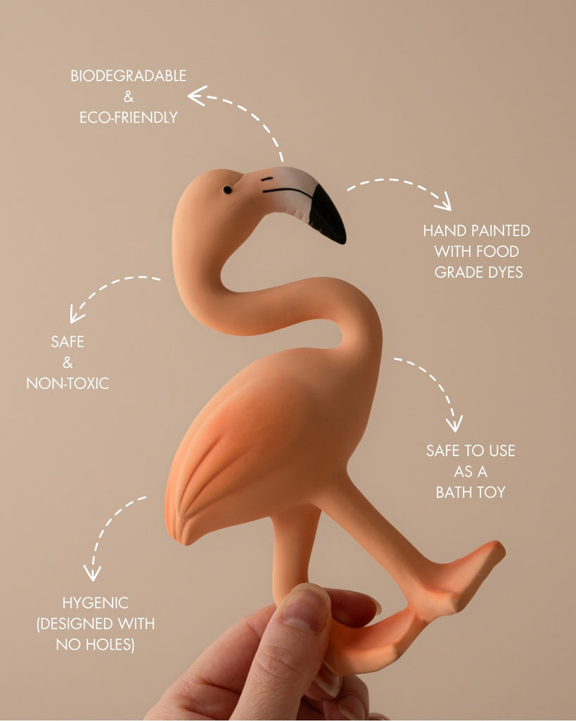 Lingo the Flamingo Teether & Bath Toy