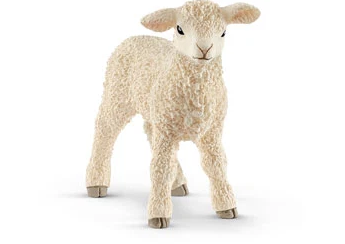 Lamb