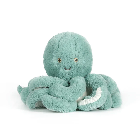 Little Reef Octopus