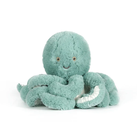 Little Reef Octopus