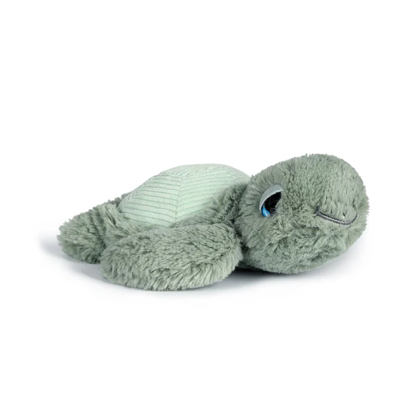 Little Tyler Turtle