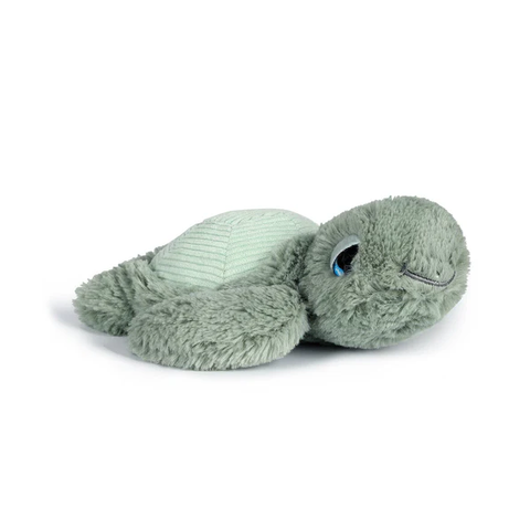 Little Tyler Turtle