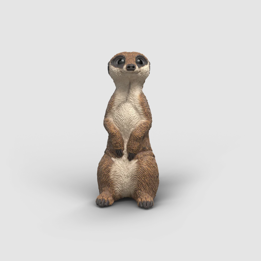 Meerkat
