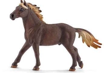 Mustang Stallion