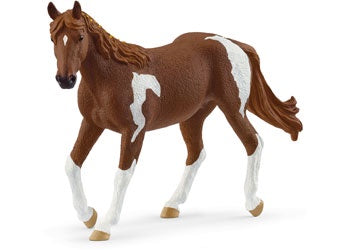 Paint Horse Mare 2025