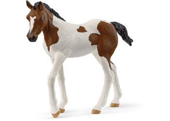 Paint Horse Foal 2025