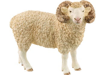 Ram