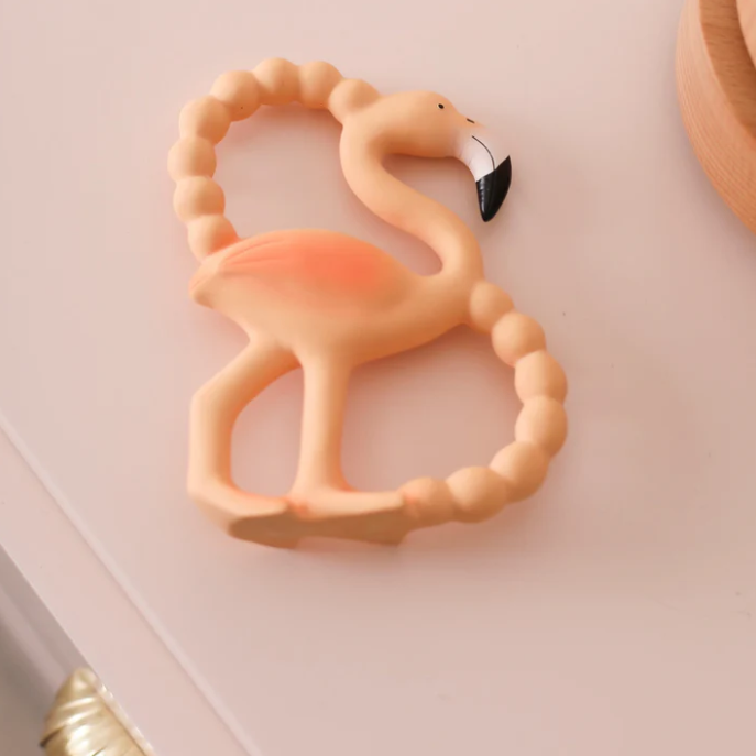 Lingo Mini Teether & Bath Toy