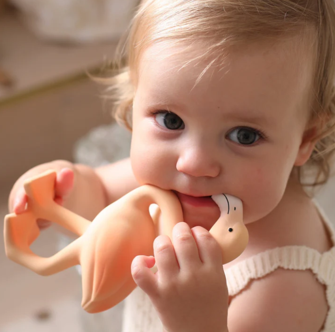 Lingo the Flamingo Teether & Bath Toy