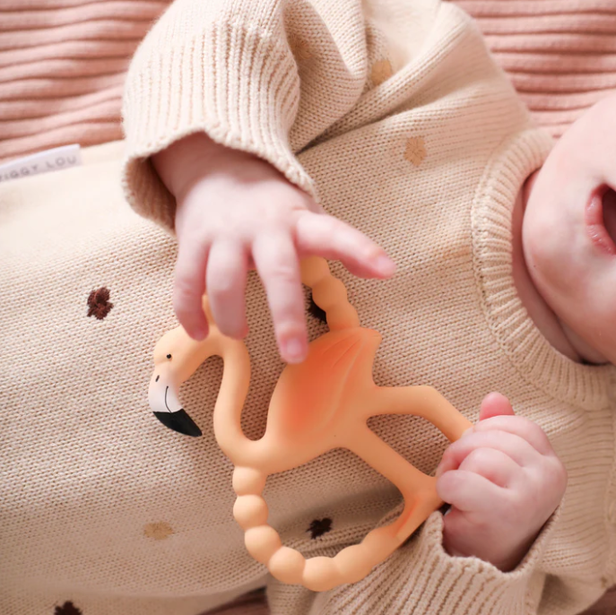 Lingo Mini Teether & Bath Toy