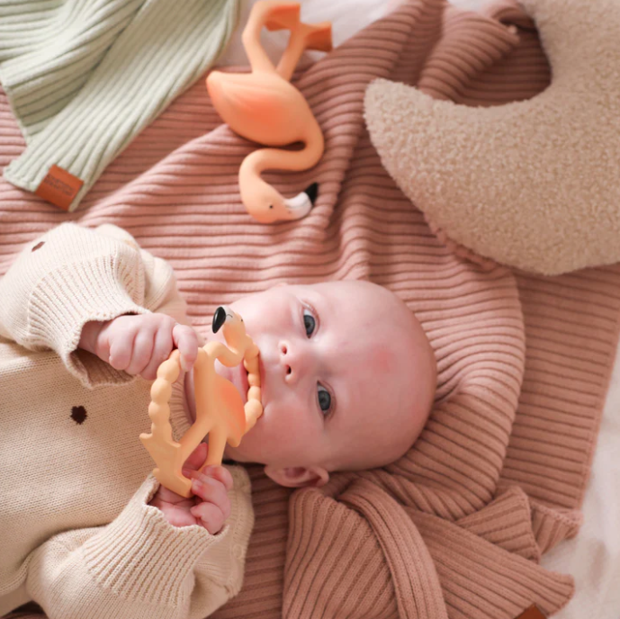 Lingo Mini Teether & Bath Toy