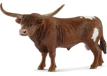Texas Longhorn Bull