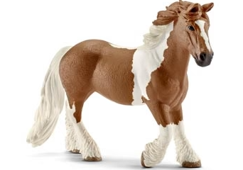 Tinker Mare