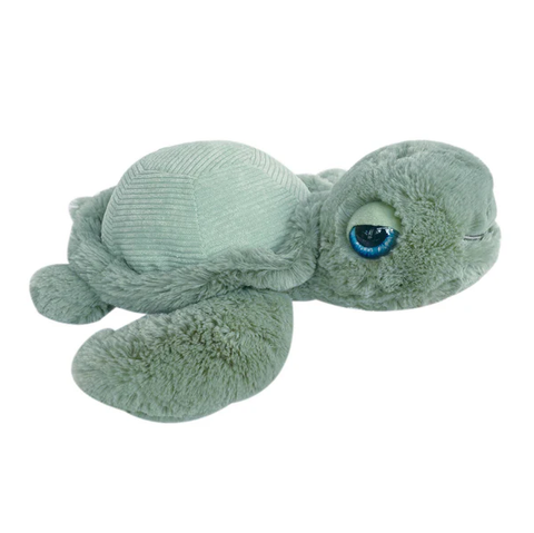 Tyler Turtle