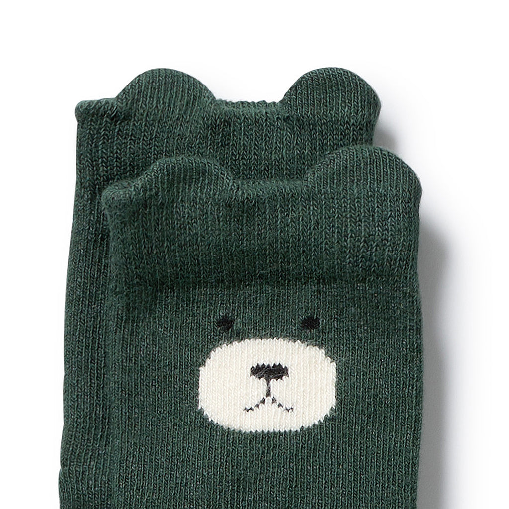 Boys Organic 4 Pack Baby Socks